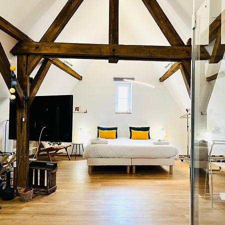Le Loft Apartment Колмар Екстериор снимка