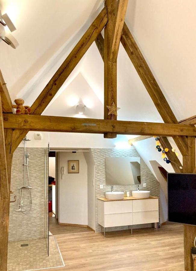 Le Loft Apartment Колмар Екстериор снимка