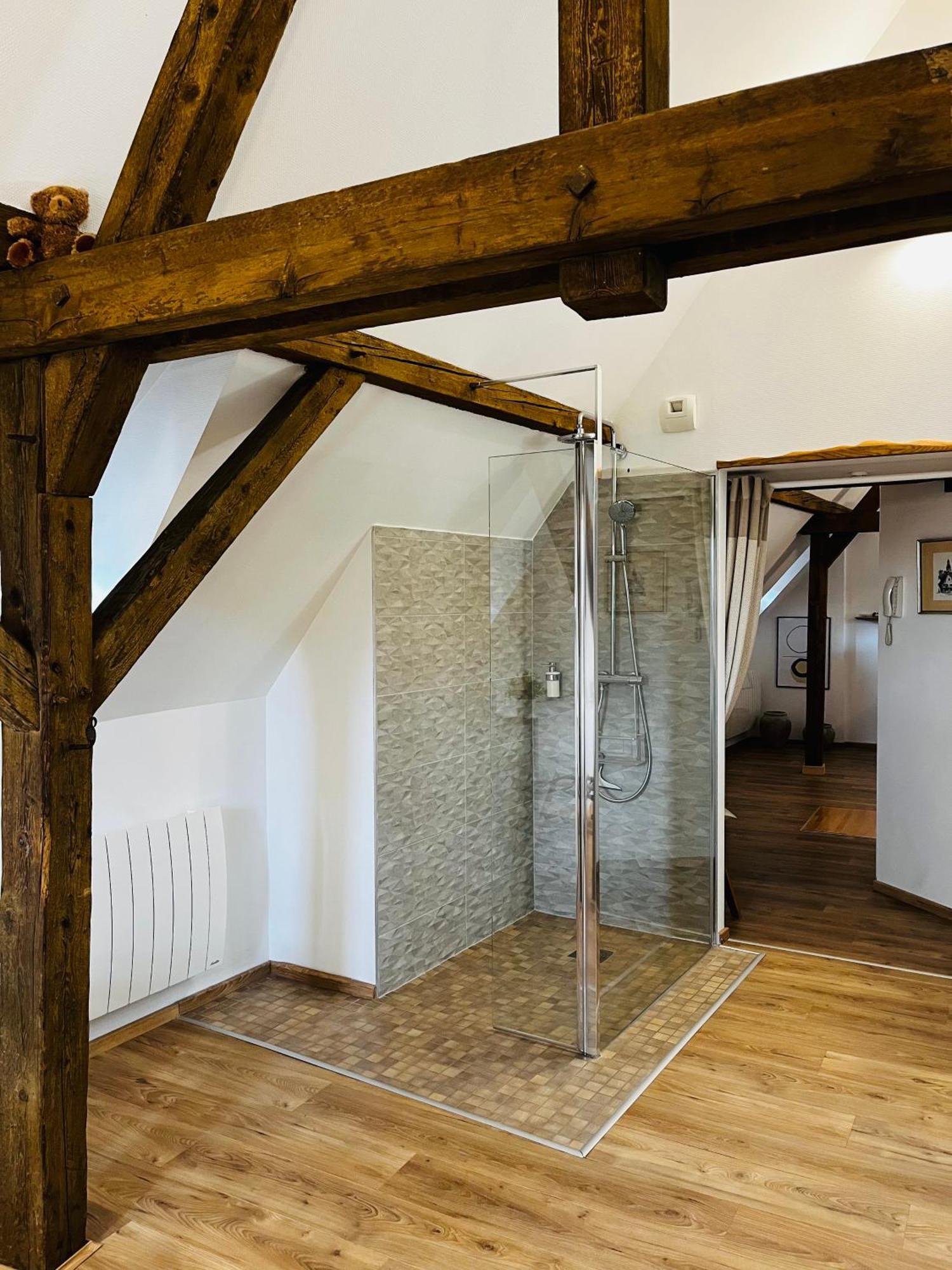 Le Loft Apartment Колмар Екстериор снимка